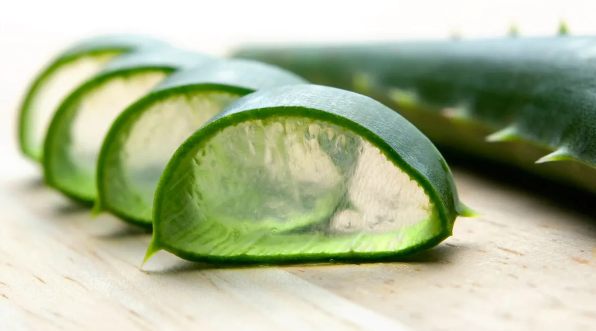 ARTISAN HAND MADE SCENTED ALOE VERA SOAP