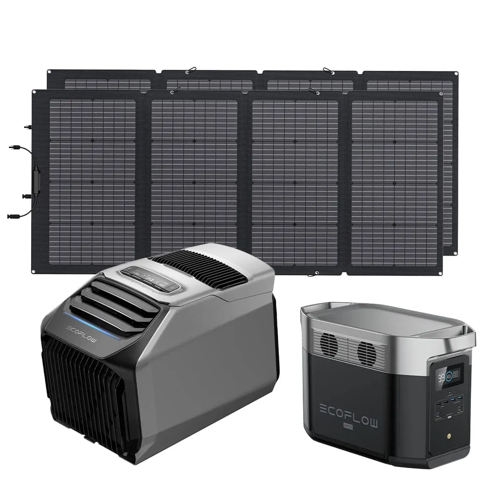 EcoFlow WAVE 2 Portable AC   DELTA Max 2000   220W Portable Solar Panel
