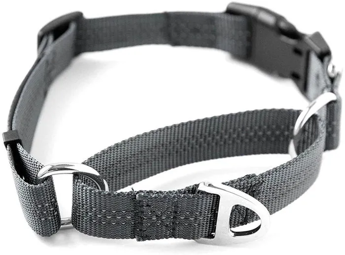 Mighty Paw New Dog Bundle: Essentials for Training & Safety