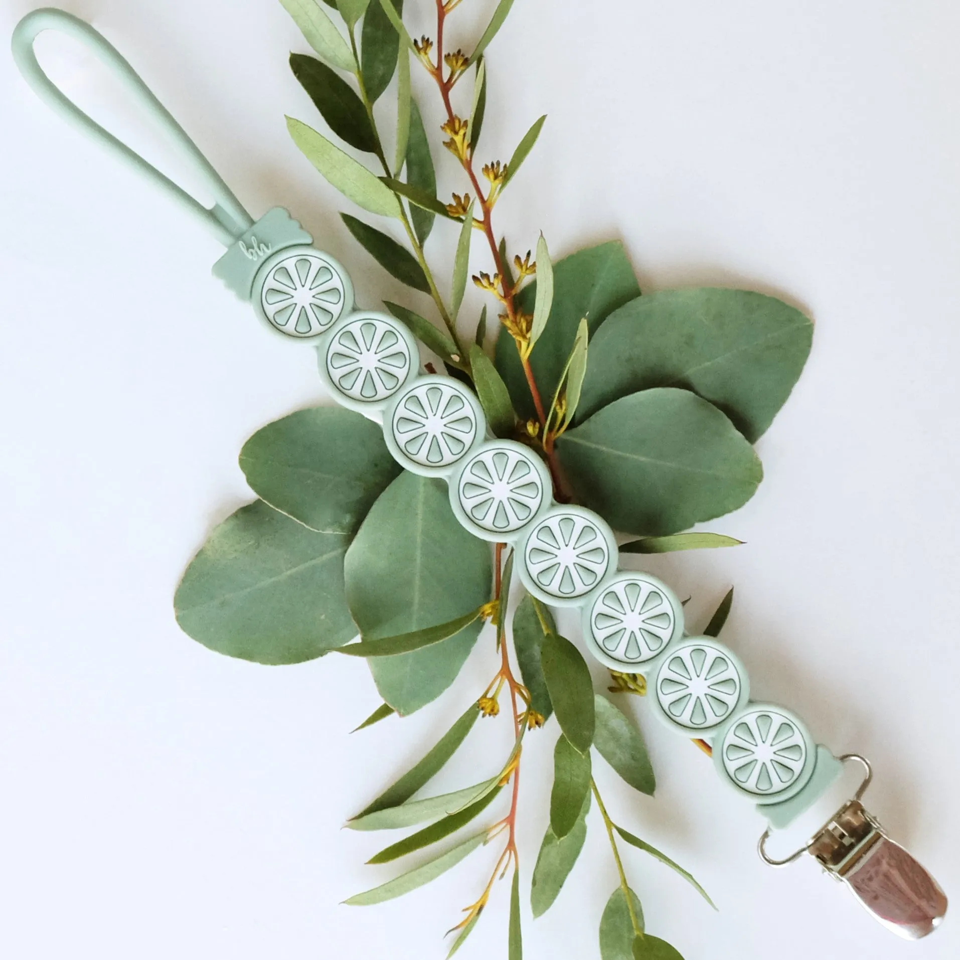 NEW! Single Silicone Citrus Pacifier Clips